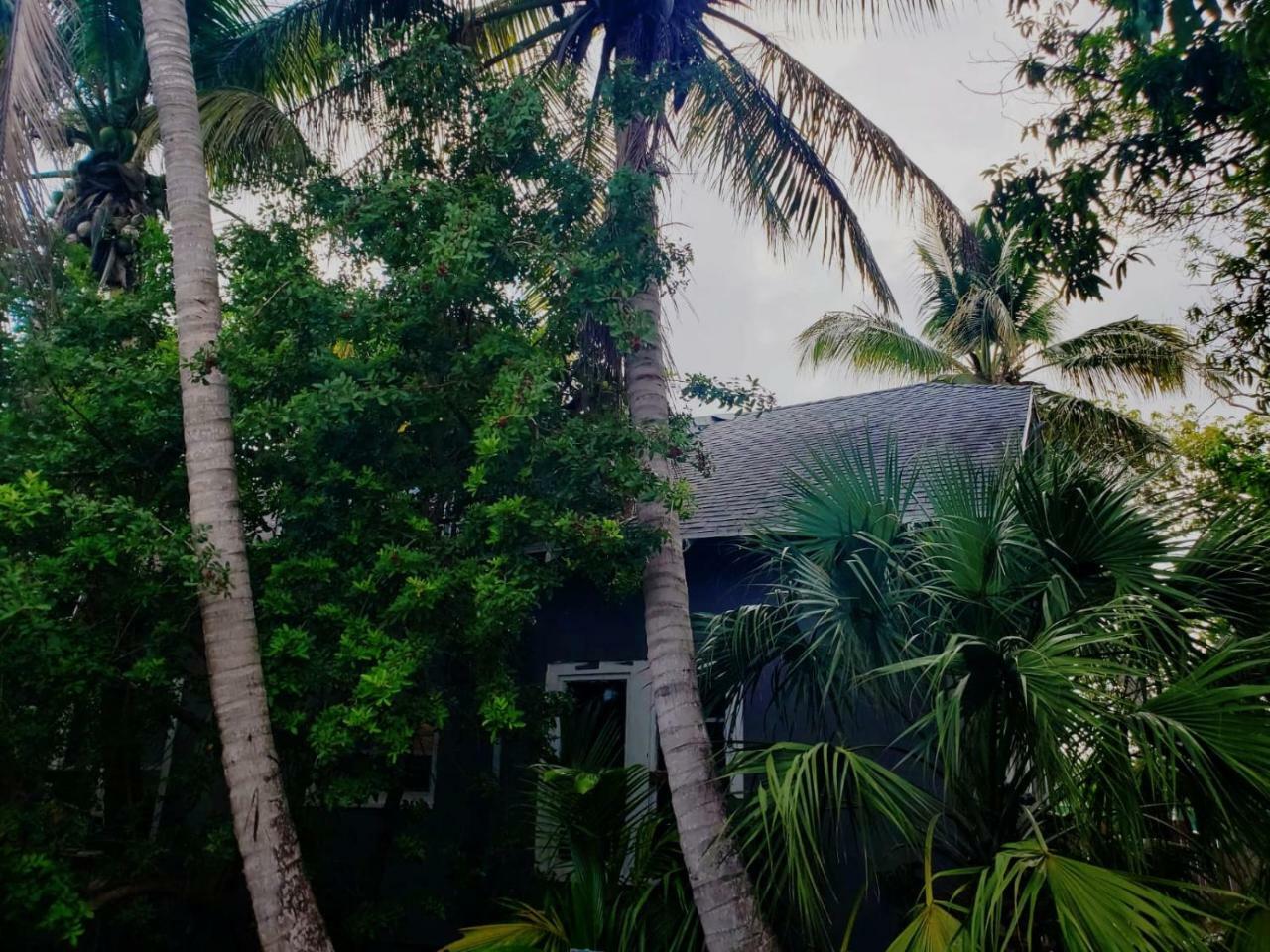 ميامي Old Cottage House المظهر الخارجي الصورة